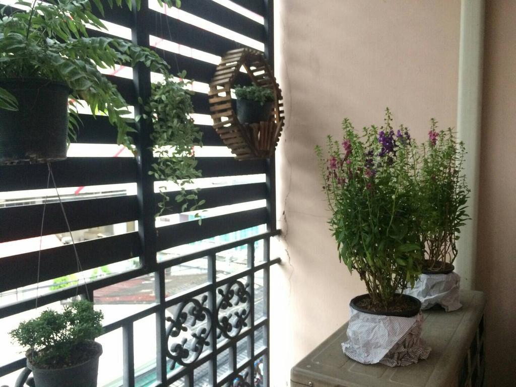 Rooftop Room باك كريت المظهر الخارجي الصورة